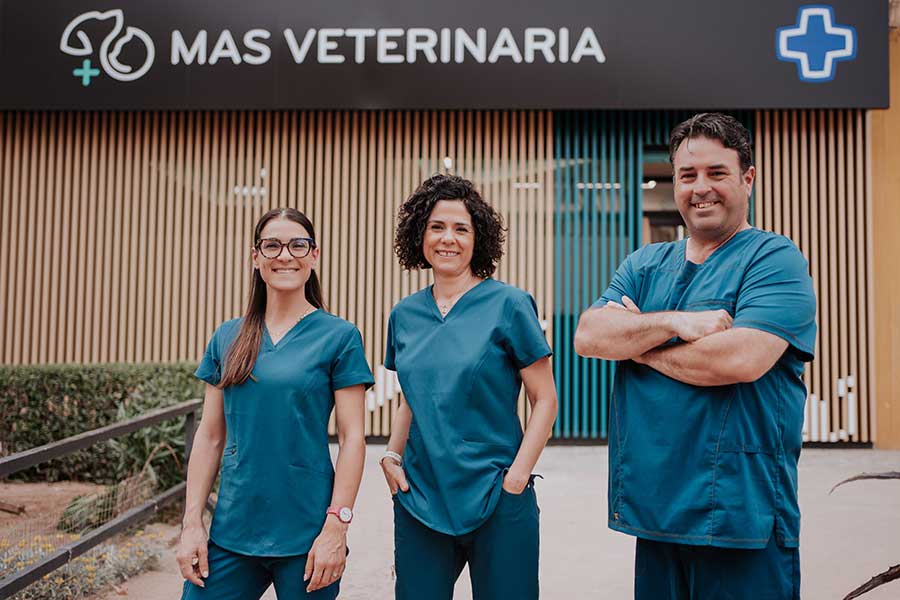 Manos capaces, corazones cariñosos para cuidar del bienestar de tu perro o gato en Mas Veterinaria  Córdoba