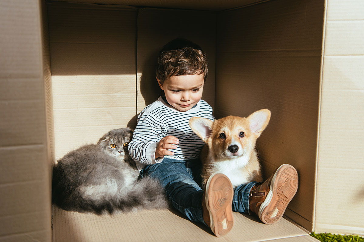 Te ayudamos a proteger a tu familia cuidando del control de parásitos de tus mascotas