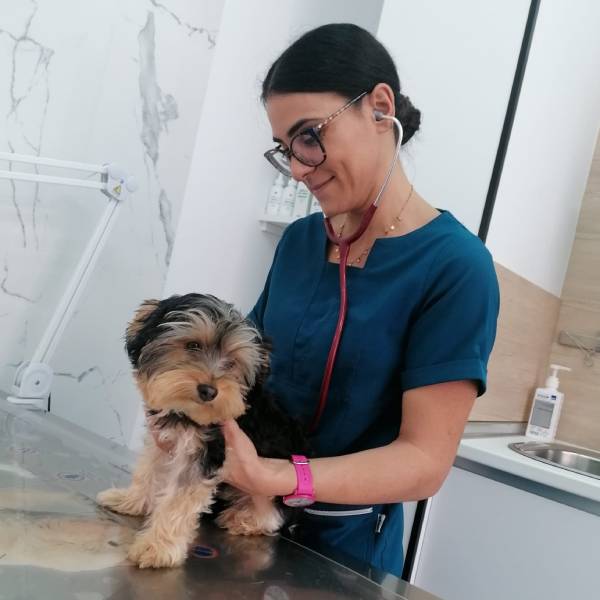Vacunas para cachorros y perros en MAS VETERINARIA Córdoba