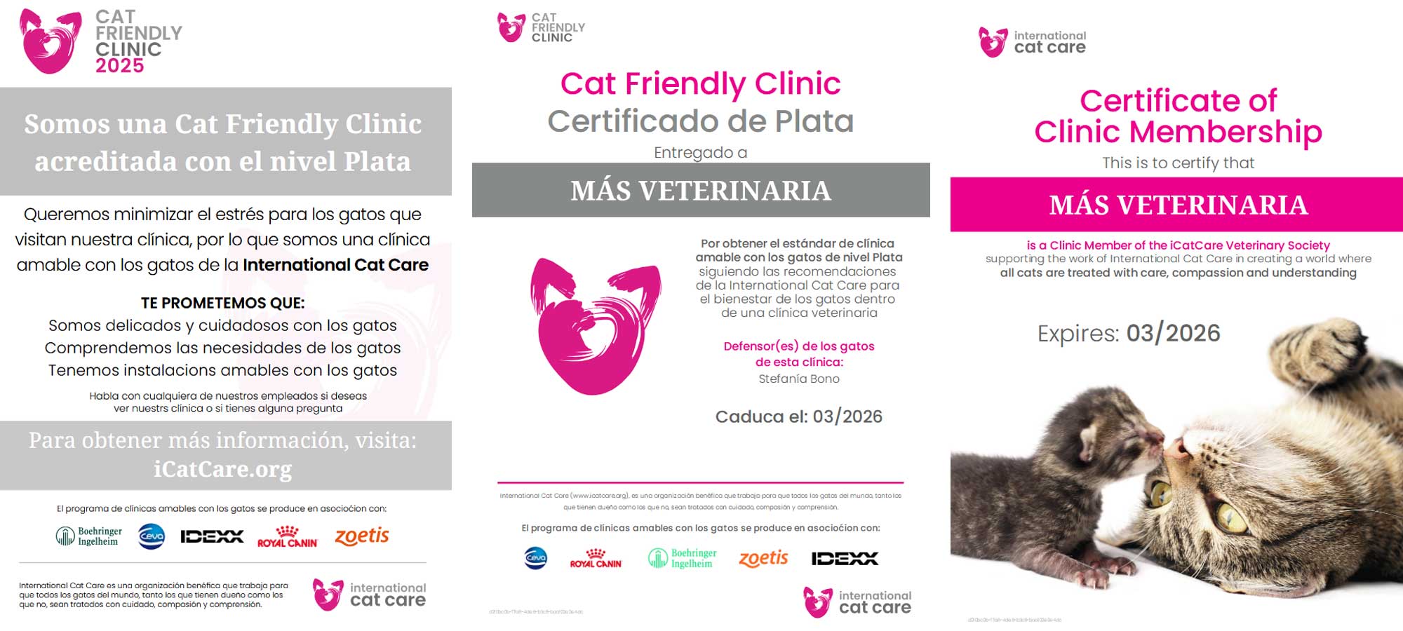 Certificación Cat Friendly Clinic 2025 Certificación Cat Friendly Clinic 2025